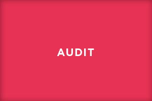capgrh-Audit
